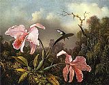 Orchids and Hummingbird 2 by Martin Johnson Heade